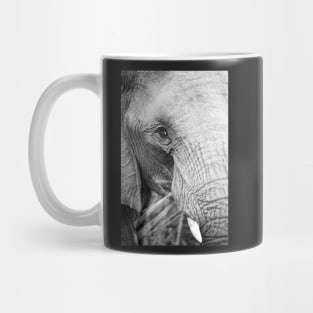 close up of an elephant eating Mug